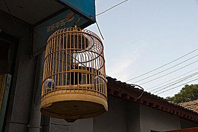 Frontwing公布全新视觉小说游戏《GINKA》